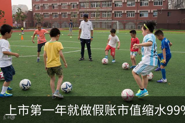 上市第一年就做假账市值缩水99%，锁定科创板市值退市第一股
