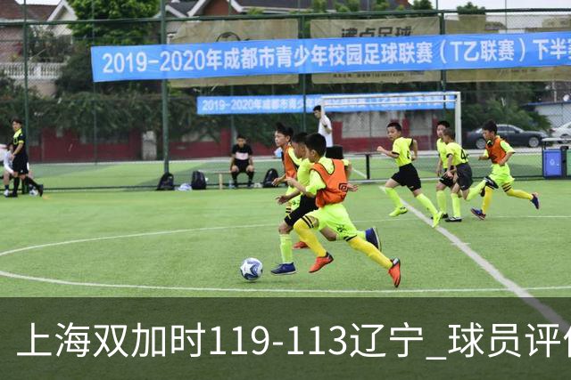 上海双加时119-113辽宁 球员评价：4人优秀，3人及格，4人低迷
