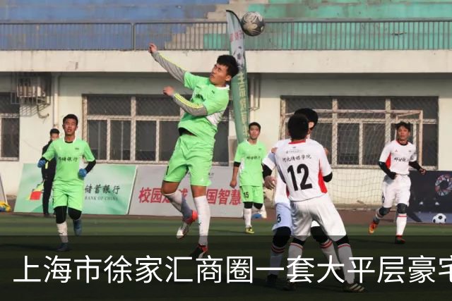 上海市徐家汇商圈一套大平层豪宅被拍卖，5341万元成交