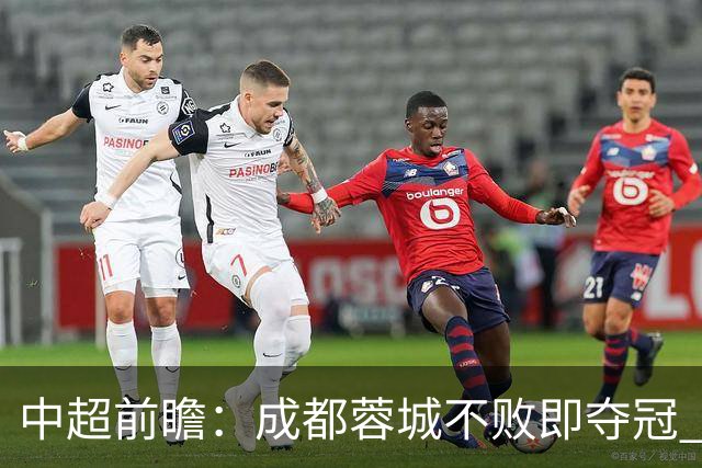 中超前瞻：成都蓉城不败即夺冠 青岛海牛恐提前降级