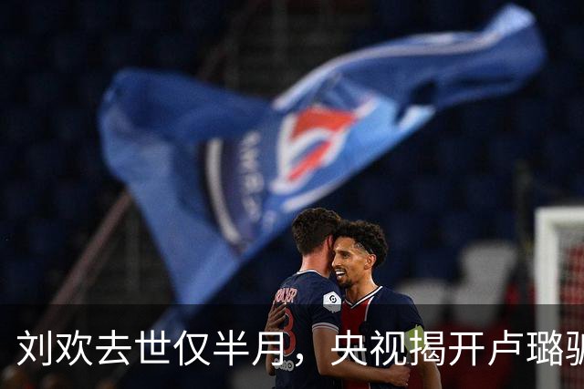 刘欢去世仅半月，央视揭开卢璐骗局内幕