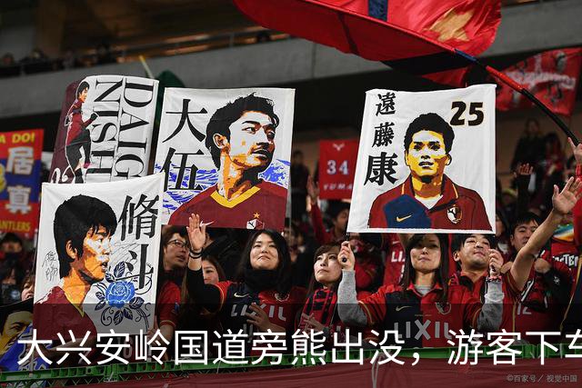 大兴安岭国道旁熊出没，游客下车合影遭撕咬，官方紧急声明：已发生多起险情，人身安全风险极高，驾乘人员严禁投喂、近距离接触野生棕熊