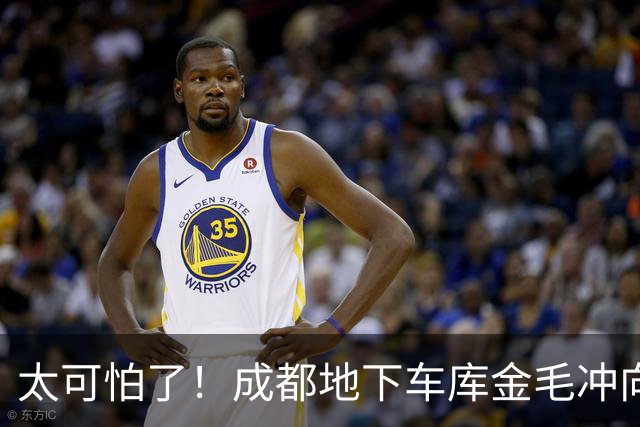 太可怕了！成都地下车库金毛冲向幼儿，狗主叫友人携多犬围堵护娃男子，引网友热议