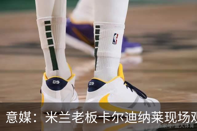 意媒：米兰老板卡尔迪纳莱现场观战，高层随行列席看台