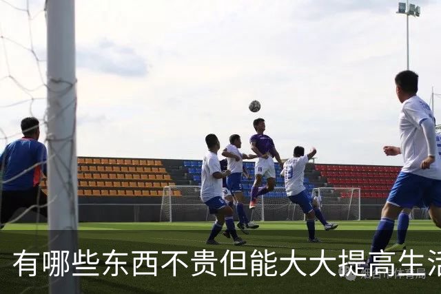 有哪些东西不贵但能大大提高生活品质？