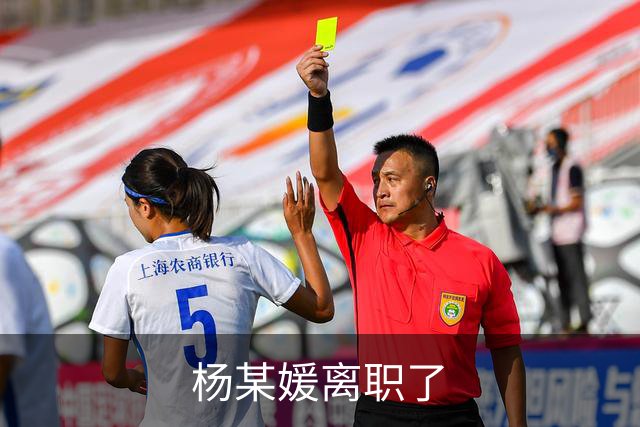杨某媛离职了