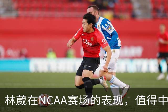 林葳在NCAA赛场的表现，值得中国男篮更多关注
