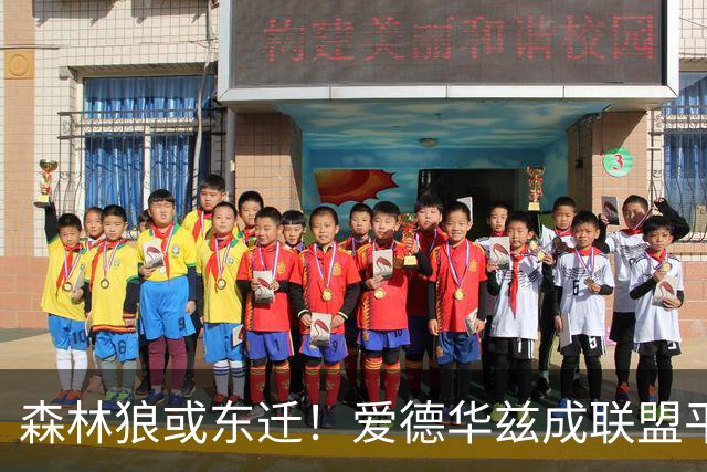 森林狼或东迁！爱德华兹成联盟平衡分区关键筹码