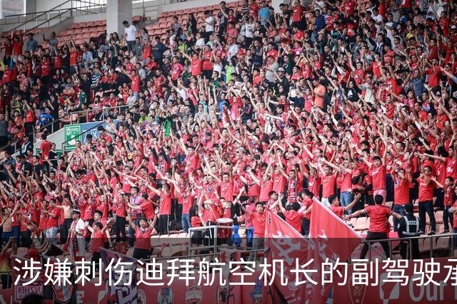 涉嫌刺伤迪拜航空机长的副驾驶承认：意图是“在以色列坠毁该飞机”