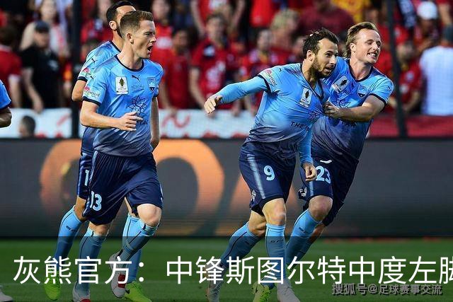 灰熊官方：中锋斯图尔特中度左脚踝扭伤 两周后接受复查