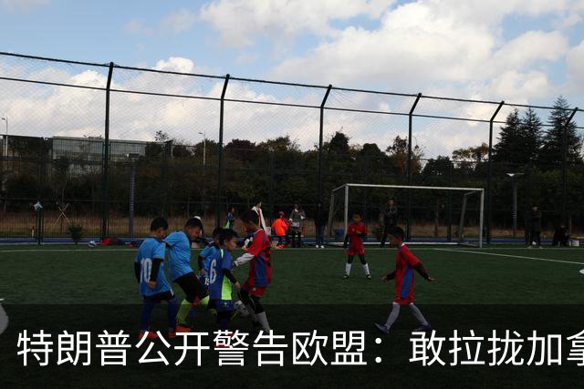 特朗普公开警告欧盟：敢拉拢加拿大就重税伺候，盟友这回要翻脸？