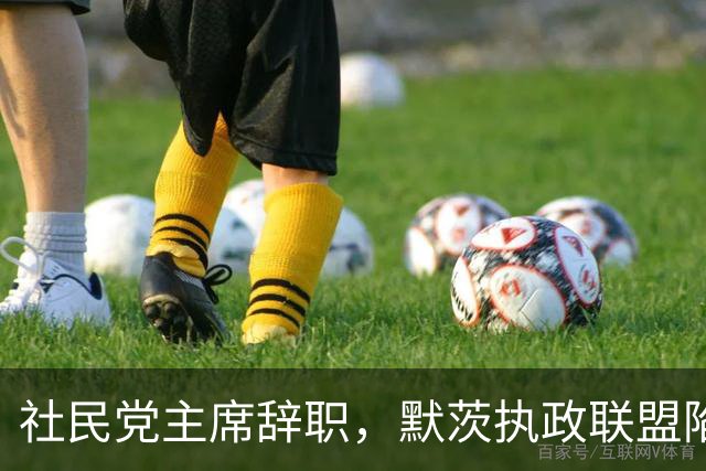 社民党主席辞职，默茨执政联盟陷入内讧？总理之位不好坐