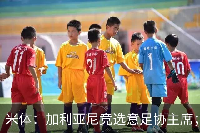 米体：加利亚尼竞选意足协主席；米兰双雄亚特兰大不满马拉戈