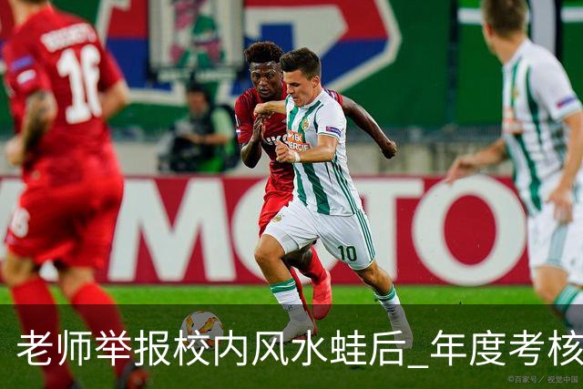 老师举报校内风水蛙后 年度考核不合格