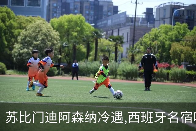苏比门迪阿森纳冷遇,西班牙名宿喊话皇马: 该去询价了