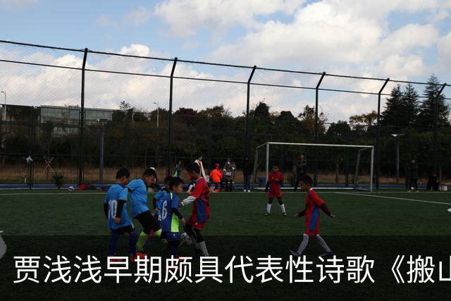 贾浅浅早期颇具代表性诗歌《搬山》读来令人耳目一新