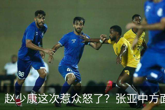 赵少康这次惹众怒了？张亚中方面直接翻旧账，郑丽文格局高下立判
