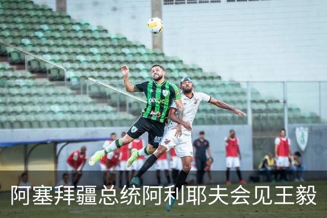 阿塞拜疆总统阿利耶夫会见王毅