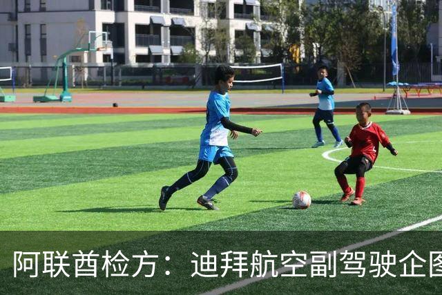 阿联酋检方：迪拜航空副驾驶企图驾机实施自杀式袭击