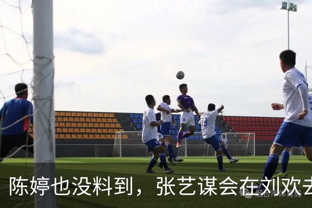 陈婷也没料到，张艺谋会在刘欢去世后，因为一个举动再次火出圈！