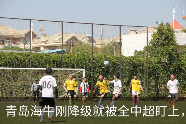 青岛海牛刚降级就被全中超盯上，主帅想走外援不愿踢中甲