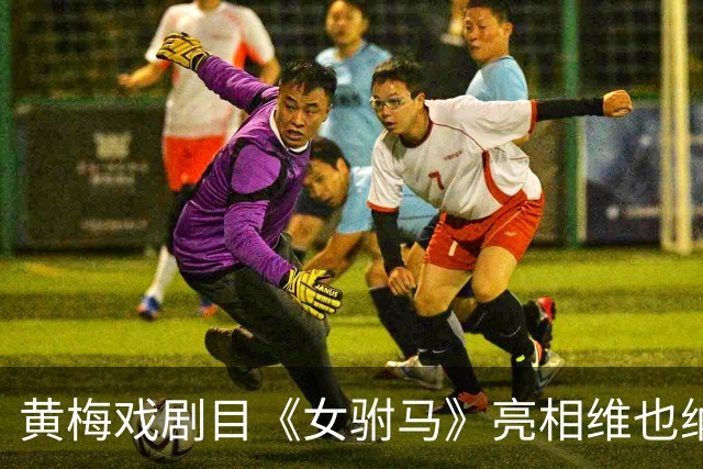 黄梅戏剧目《女驸马》亮相维也纳“中国戏演出季”