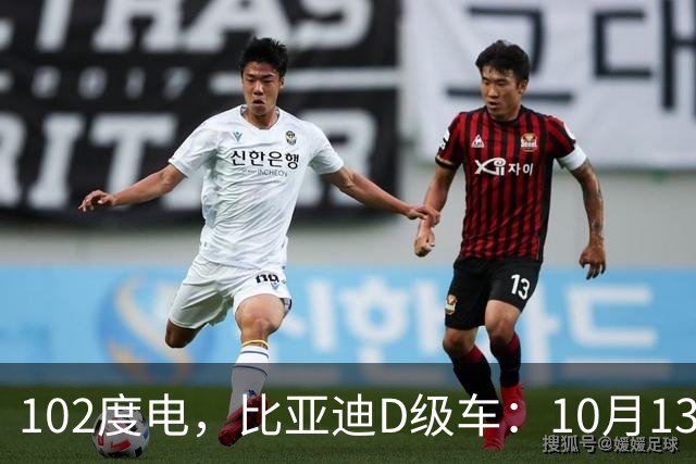 102度电，比亚迪D级车：10月13日见！