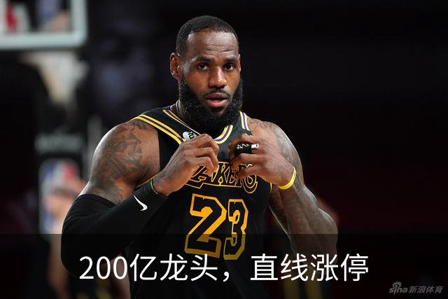 200亿龙头，直线涨停