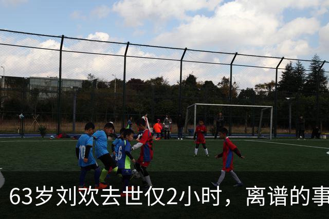 63岁刘欢去世仅2小时，离谱的事上演，死因被扒，“催命符”曝光