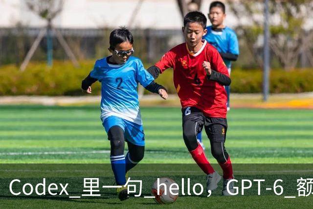 Codex 里一句 hello，GPT-6 额度光速蒸发